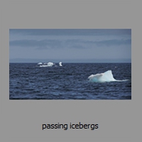 passing icebergs